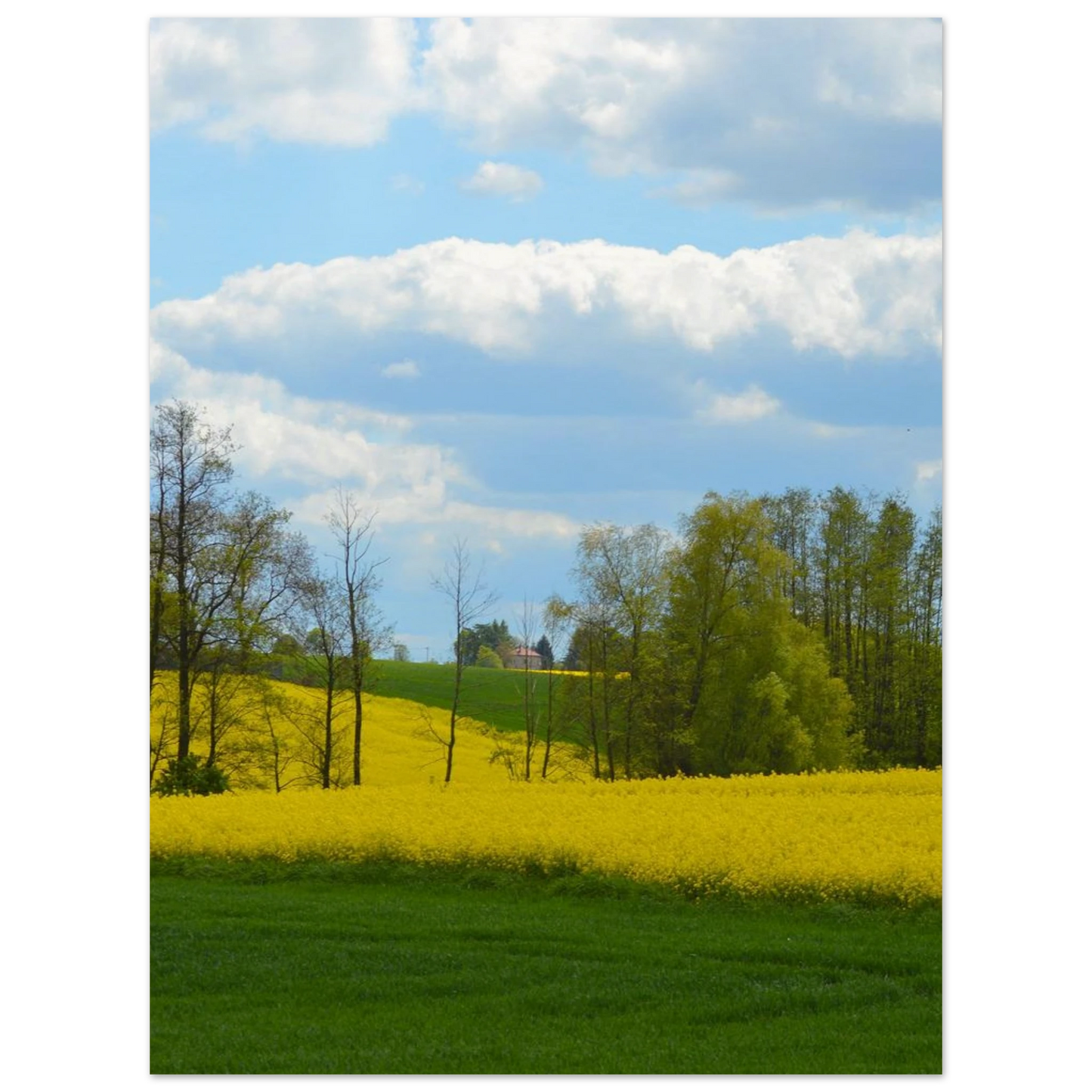 045eda73-eb8f-4036-983a-71396f3ad95c