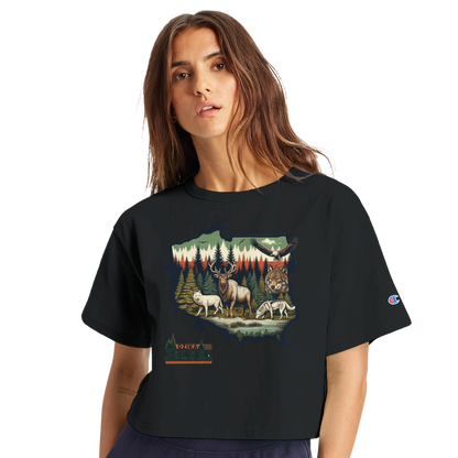 2425b553-d761-4731-8e8c-3cec65e8f341