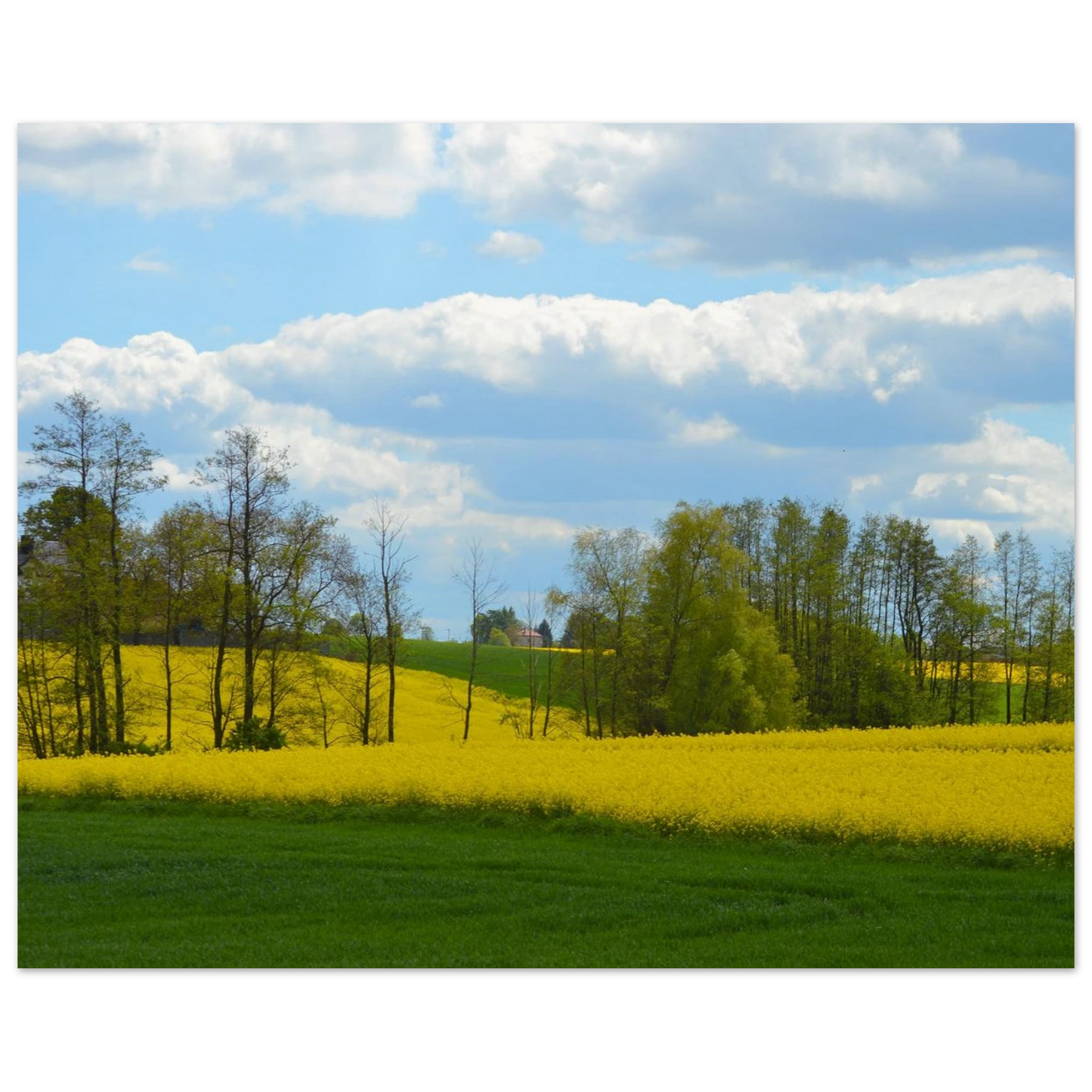 518a67df-36a2-43aa-8e5c-3d02147e6c3e