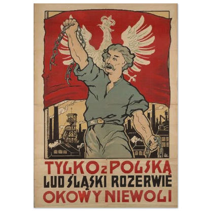 62d43b0b-d20c-4df6-88c3-eb2836d035fd