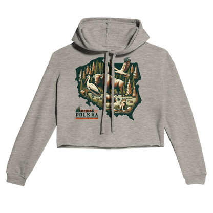 64026951-2d4e-41ce-8f66-b866ffb26464