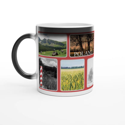 6e12a53d-f3c1-478f-aac5-281a713e768d