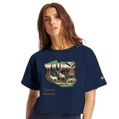 729a3369-b7cf-4bb2-bb2a-eb00a4fbbc29