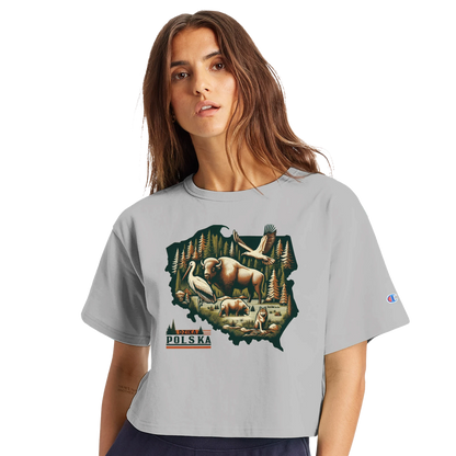 760160f4-8a49-4c9b-8680-770437f72ec8