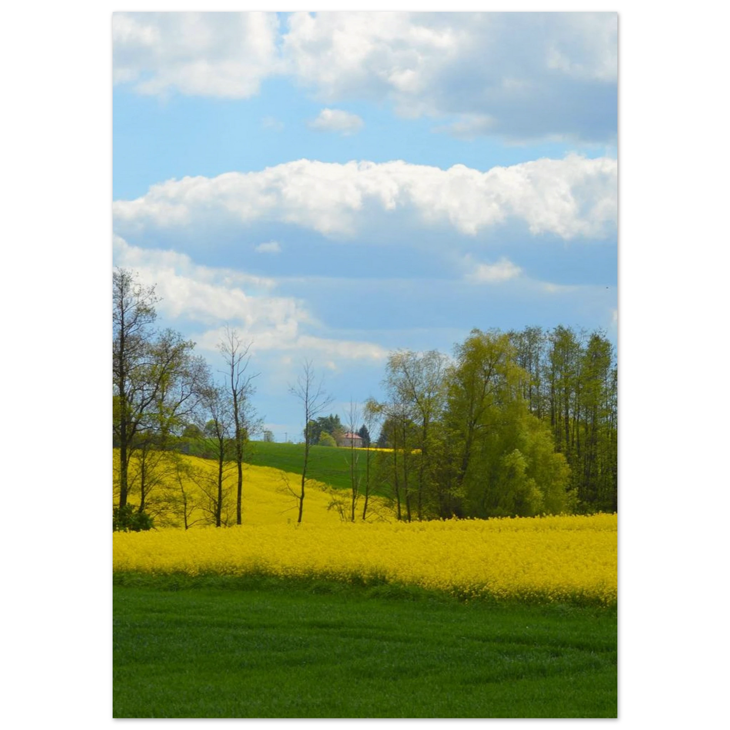776b0bf0-1808-4b03-b714-05c1c3797a2b