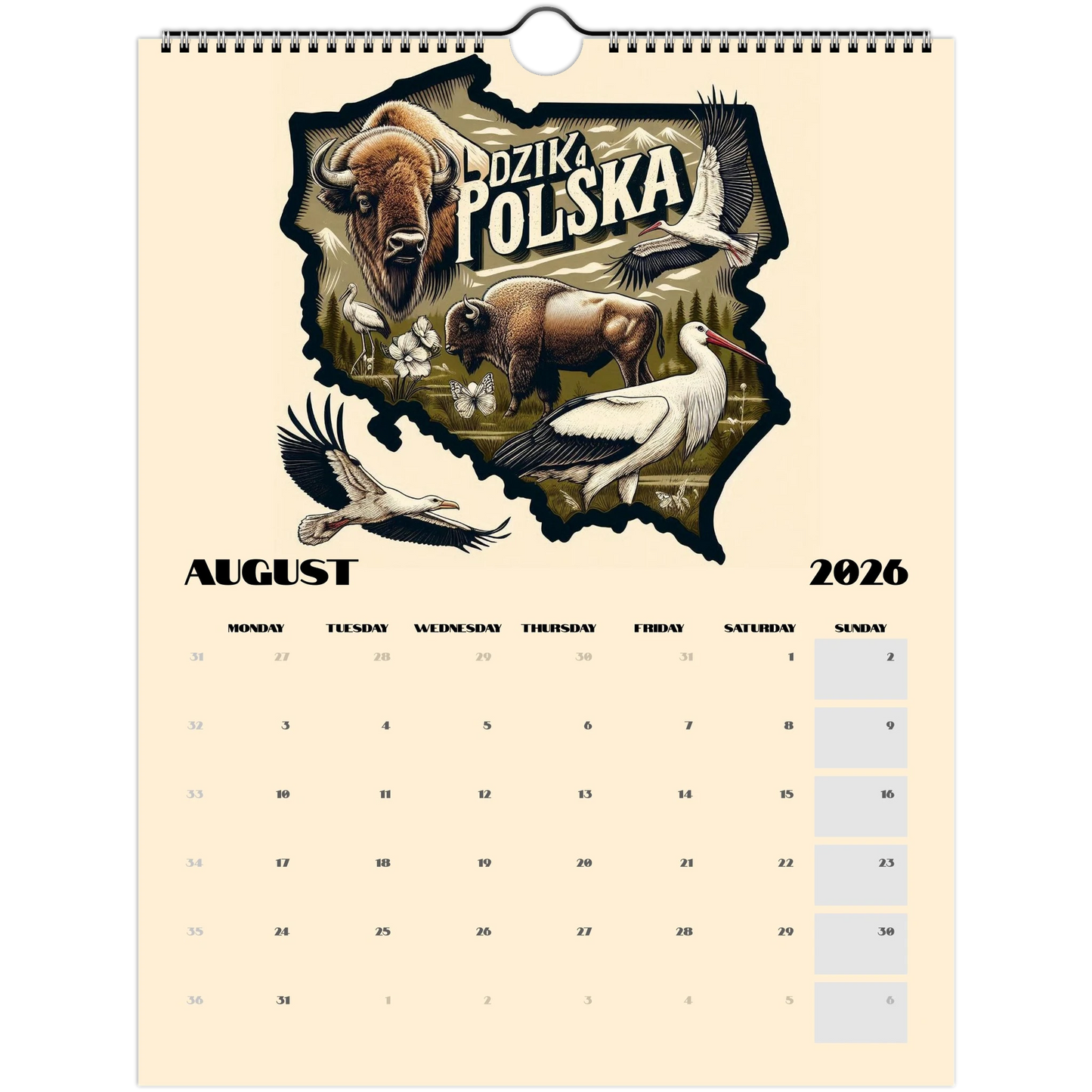 82d00042-2eb3-4327-a5ae-7dad48359ea4