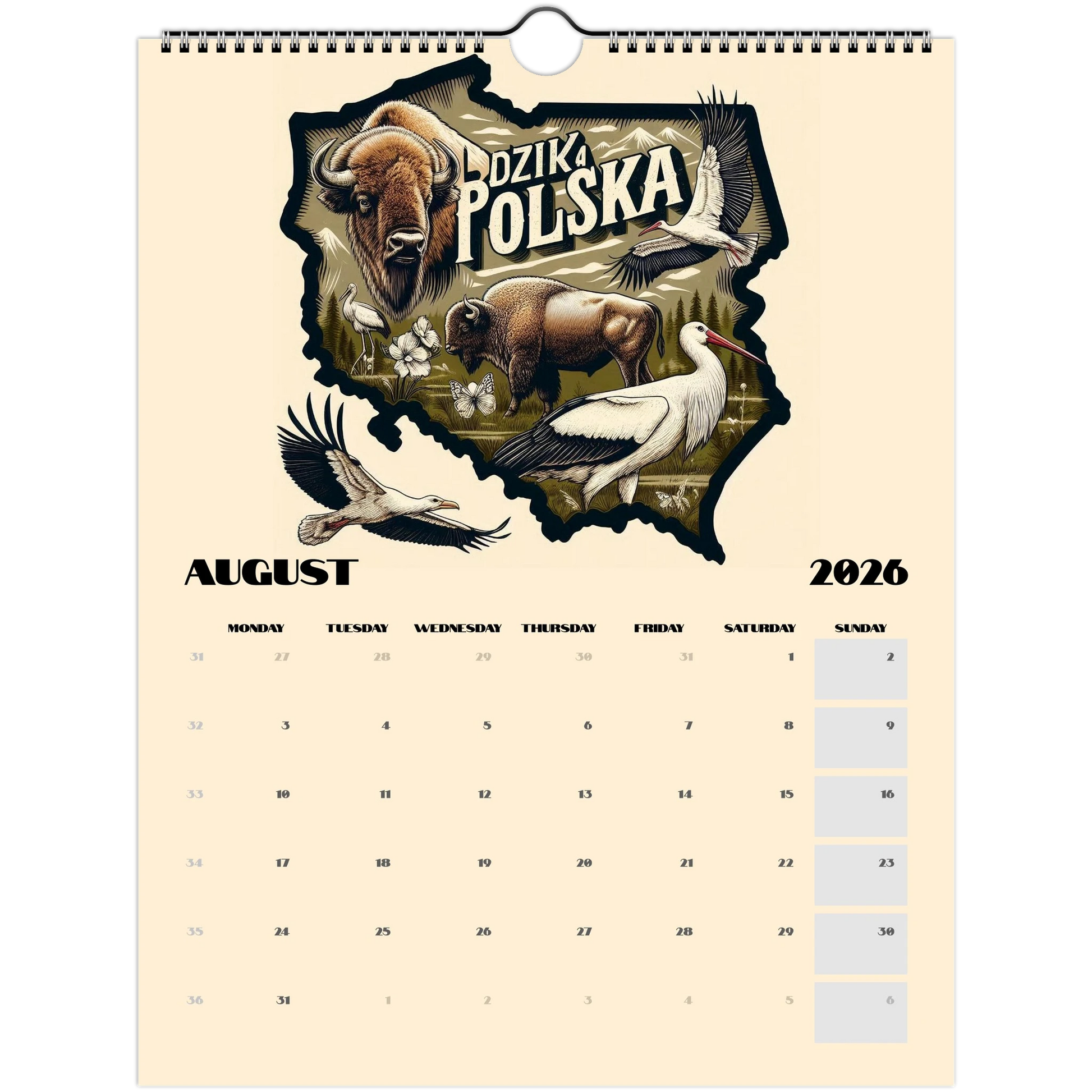 82d00042-2eb3-4327-a5ae-7dad48359ea4