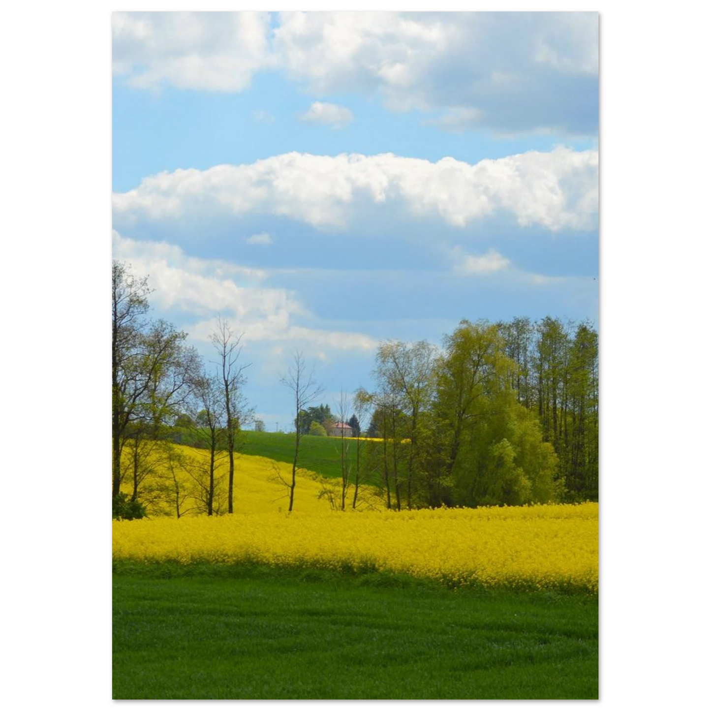 b0502865-0073-443e-8a74-46536f8bf65a