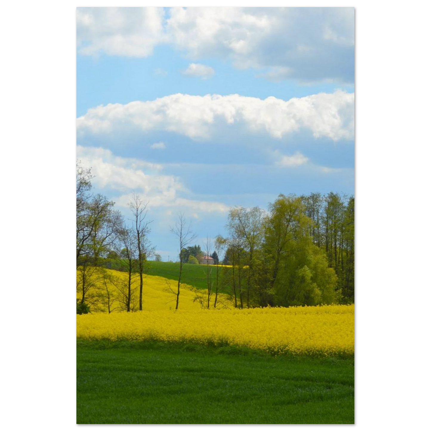 c677ad7a-d543-40c9-811f-9e0856684905